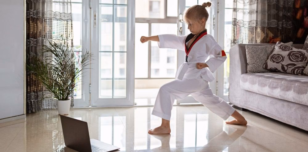 What is WTF Taekwondo?