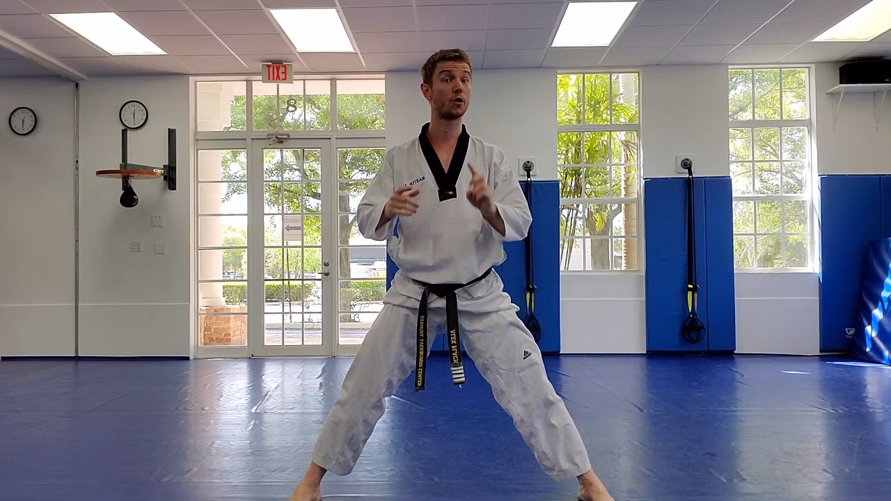 Does leehan martial arts teach taekwondo?
