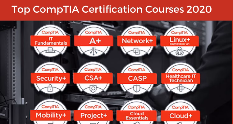 What are the best IT courses for beginners?