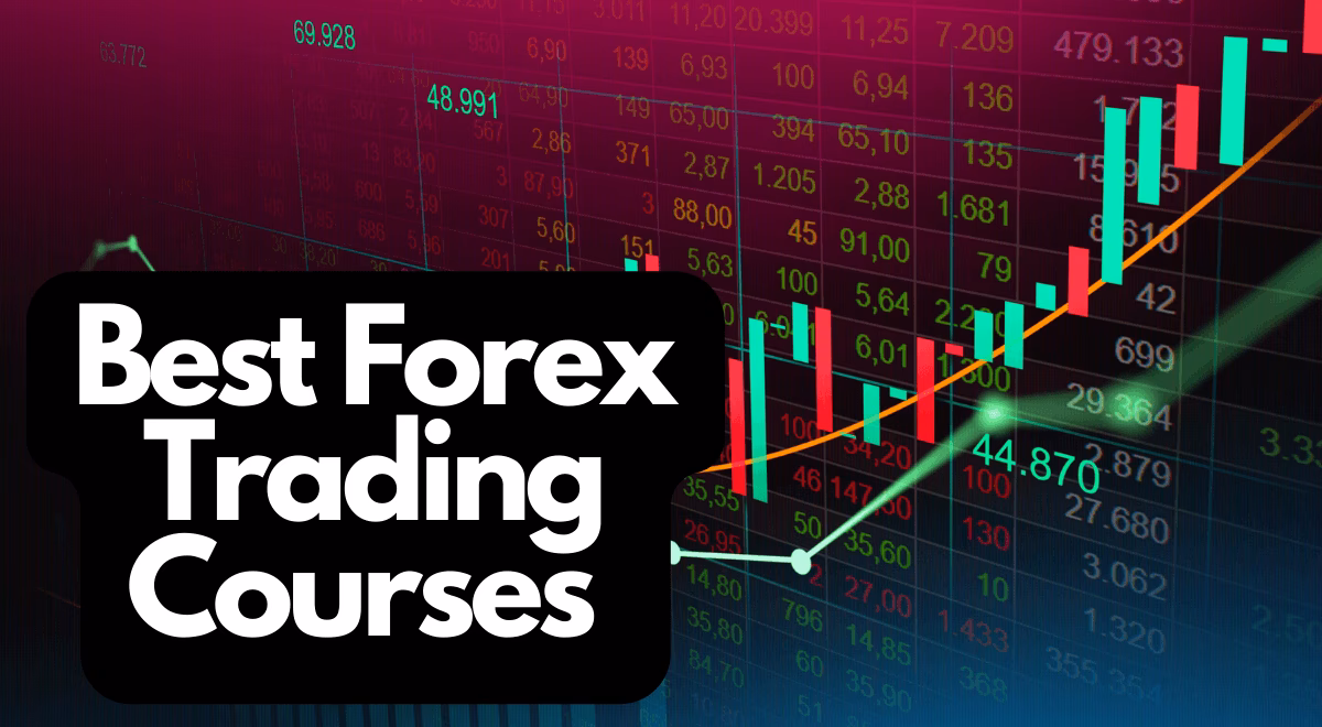 What is the International Trade Academy?