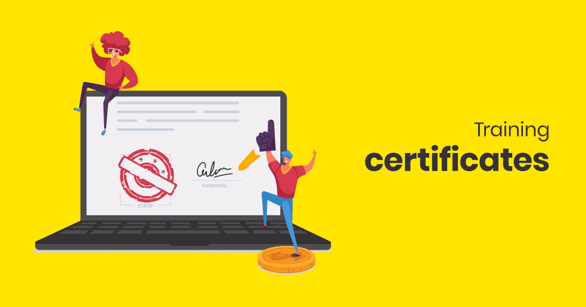 What is a professional certificate program?