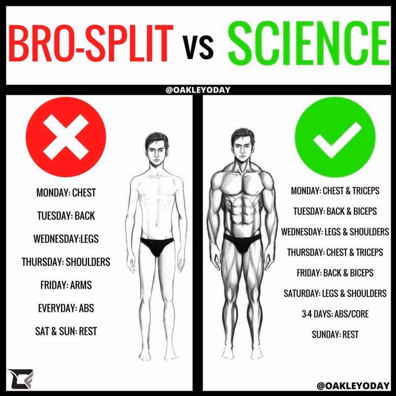 Is it better to train each muscle group twice a week?