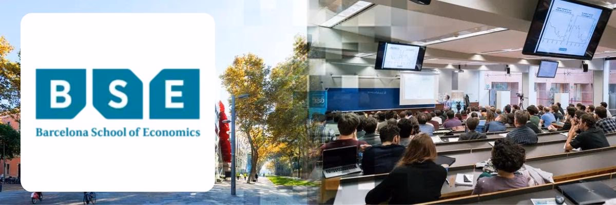 What is a professional certificate in economics?