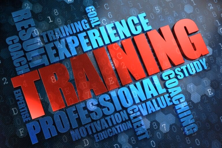 What is training experience (TX)?