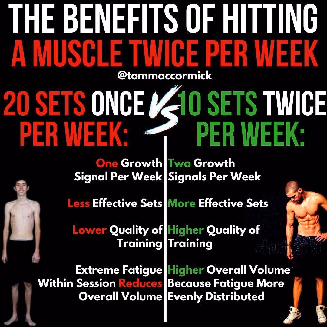 Should you train a muscle twice a week?