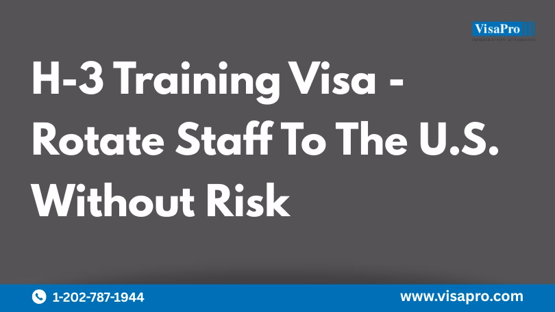 What can I do with a training visa?