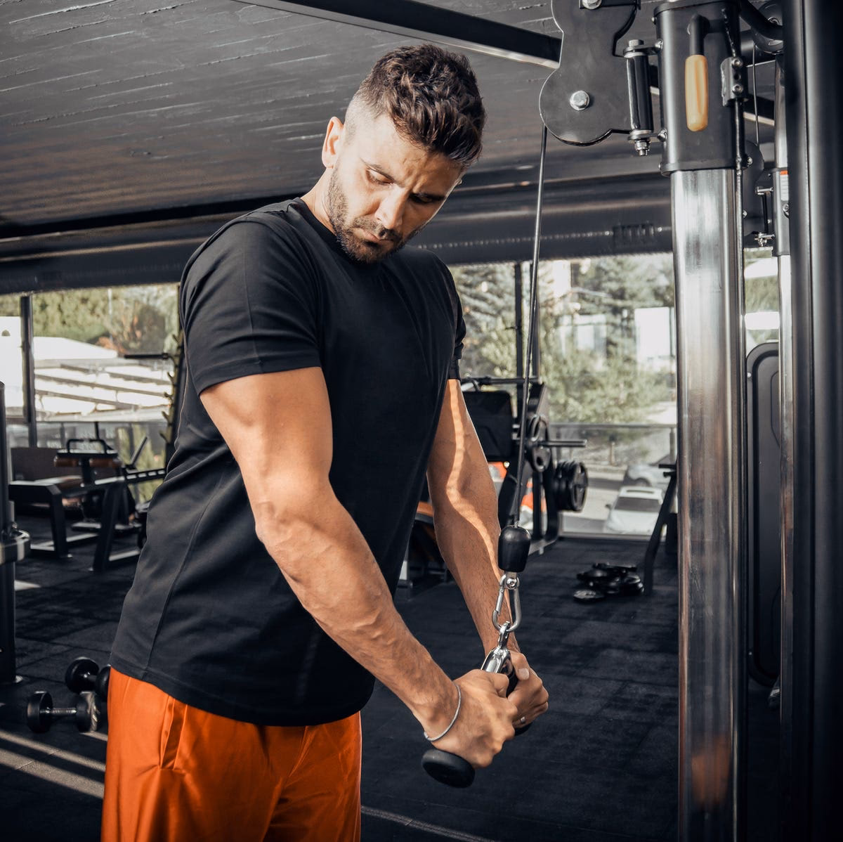 How do I train my triceps?