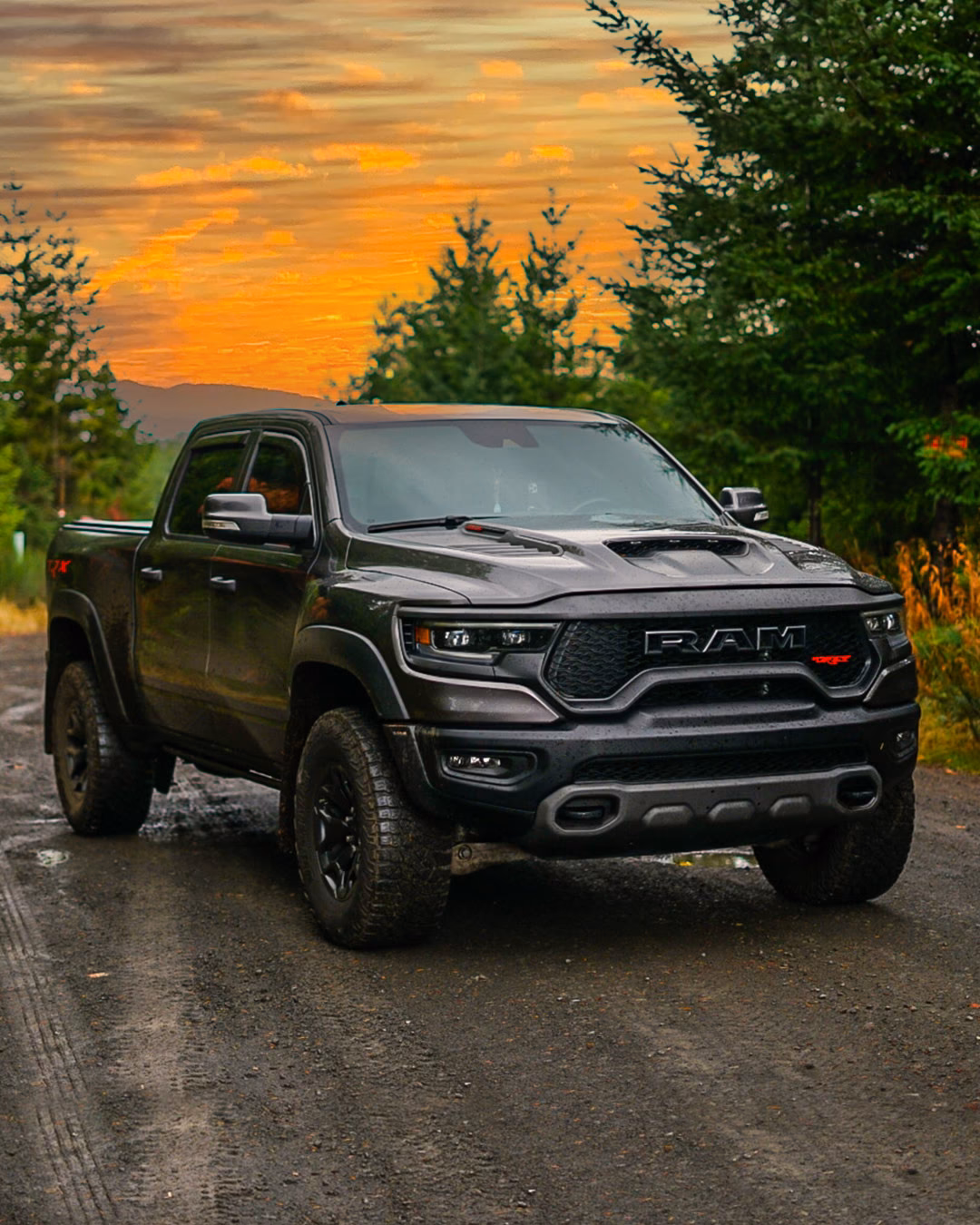 Why did TRX price rise?