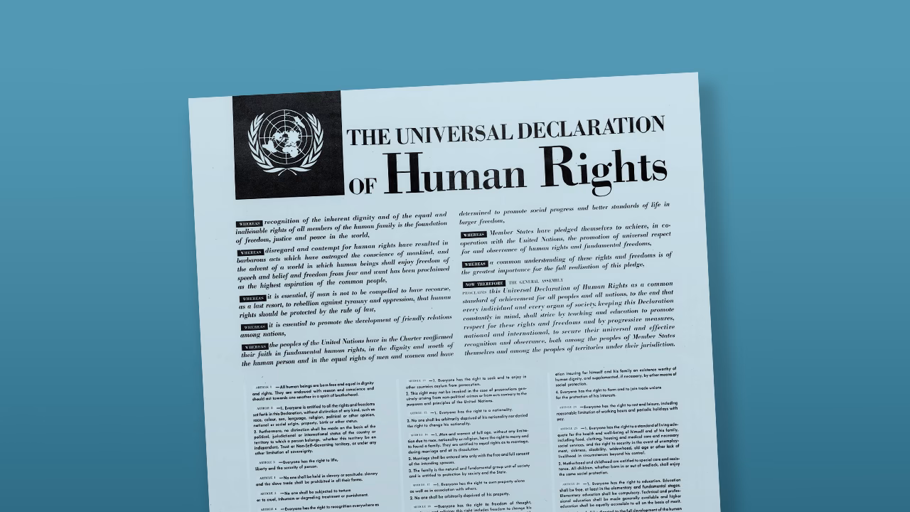 Should the United Nations provide human rights education and training?