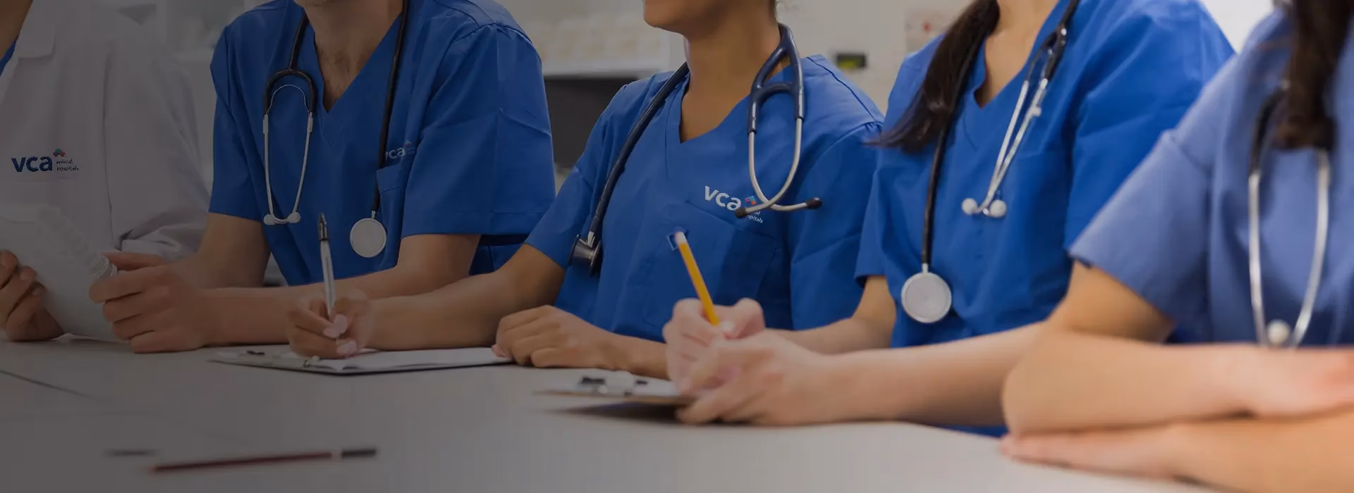 Do I need a degree to take the VCA exam?