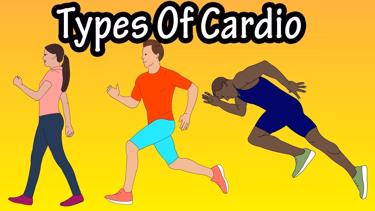 What is cardio noun?